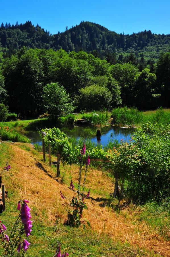Lucky Mud Inn And Disc Golf Resort Skamokawa Экстерьер фото